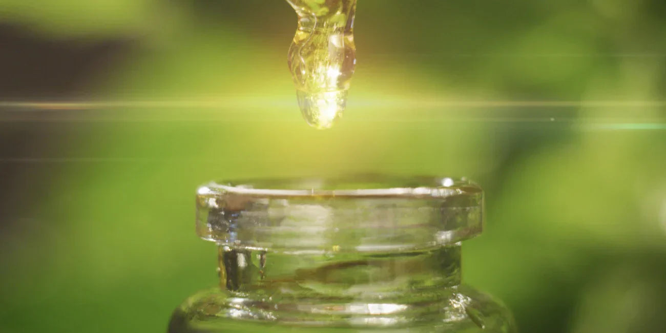 Extração de ativos, Biotecnologia, Ativos cosméticos, Produtos naturais, Solventes naturais